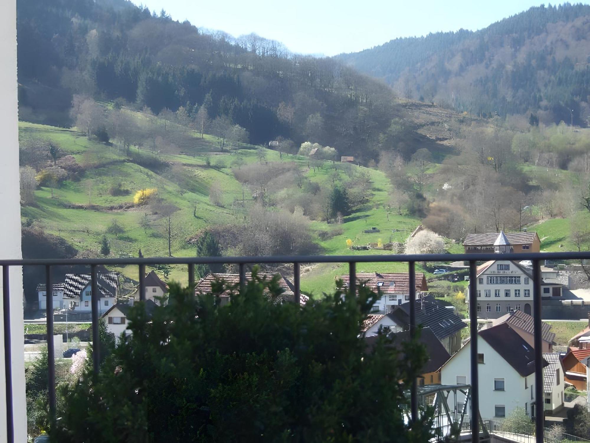 Regina'S Gaestehaus Weisenbach Buitenkant foto