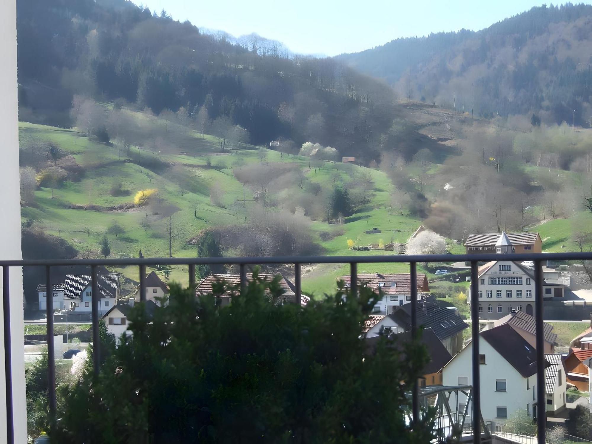 Regina'S Gaestehaus Weisenbach Buitenkant foto